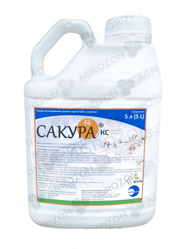 Сакура, КС