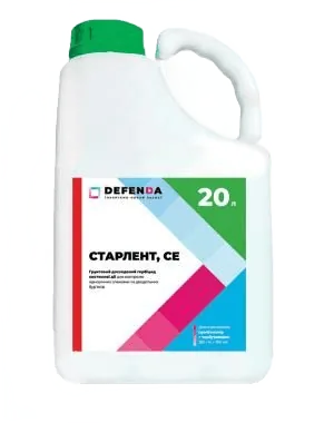 Старлент