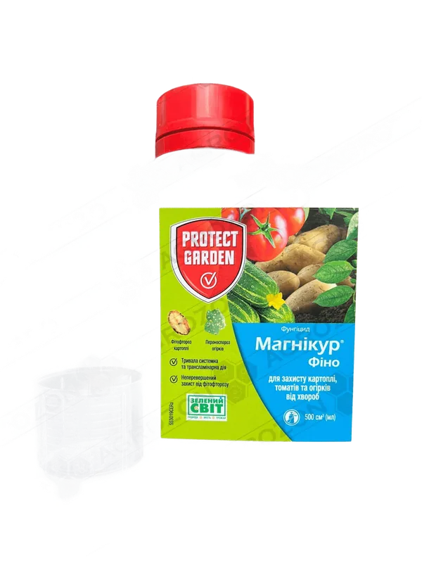 Магнікур Фіно, КС