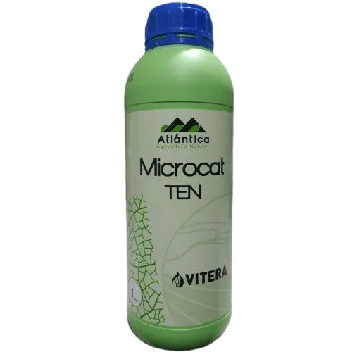 Мікрокат Тен (Microcat Ten)
