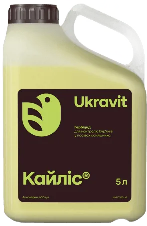 Кайліс