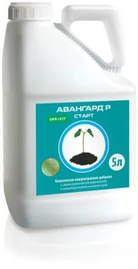Авангард Старт