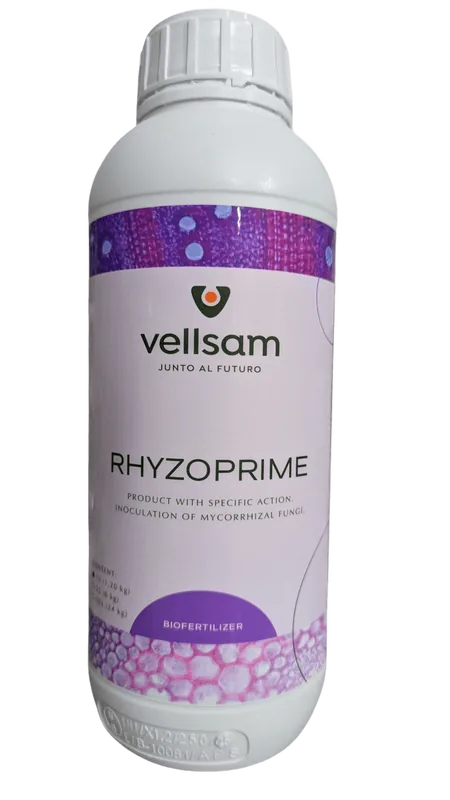 Rhyzoprime
