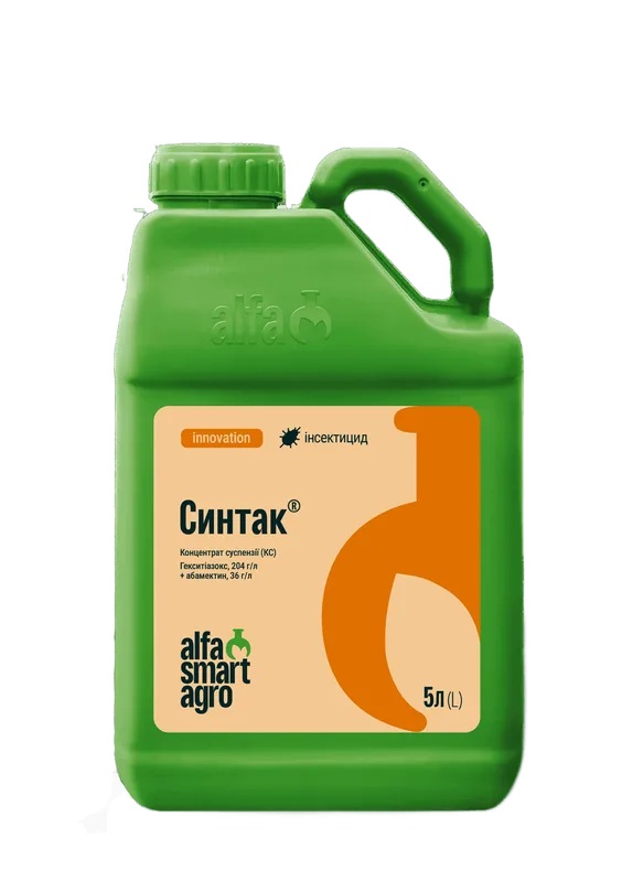 Сінтак, КС #3
