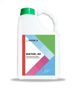 Матар