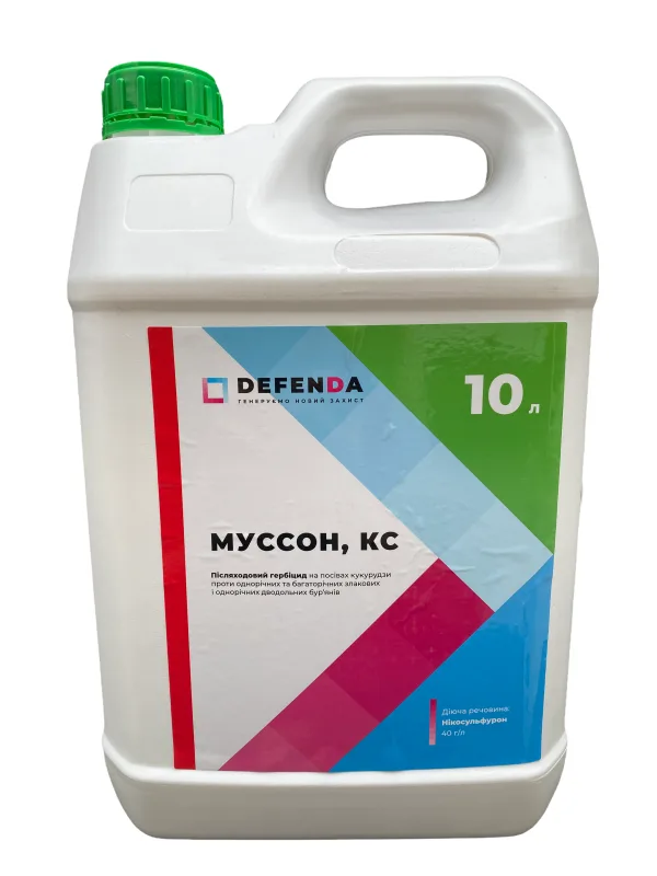 Муссон