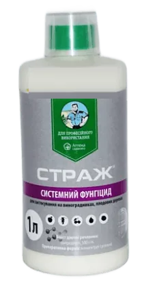 Страж, КС
