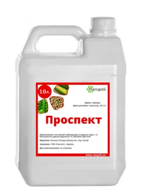 Проспект, КЕ