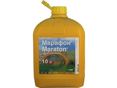 Марафон