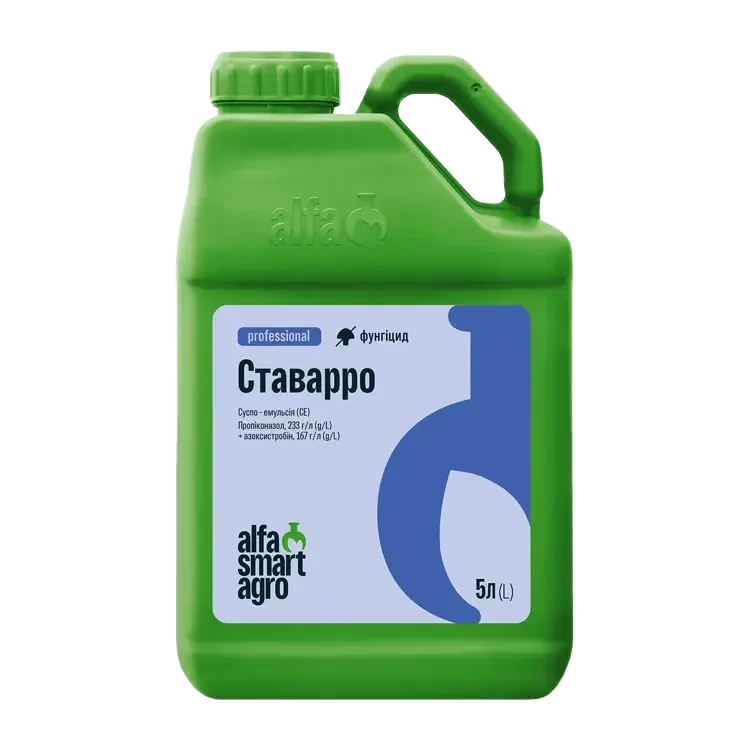 Ставарро, СЕ