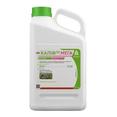 Каліф Мега, СЕ