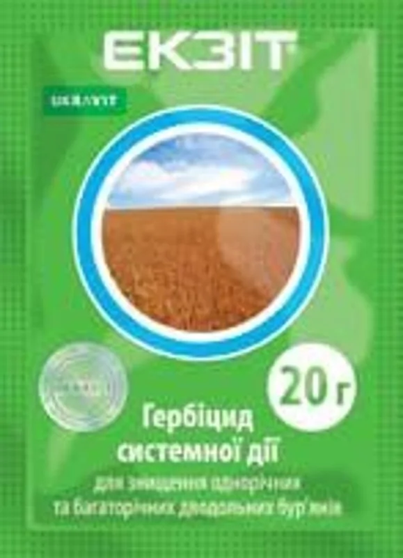 Екзіт, ВГ #1