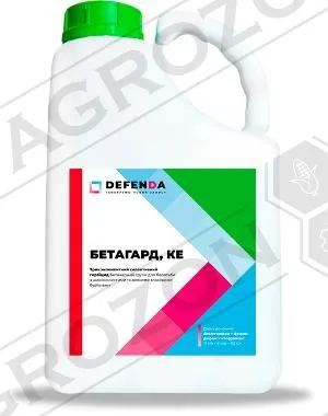 Бетагард, КЕ