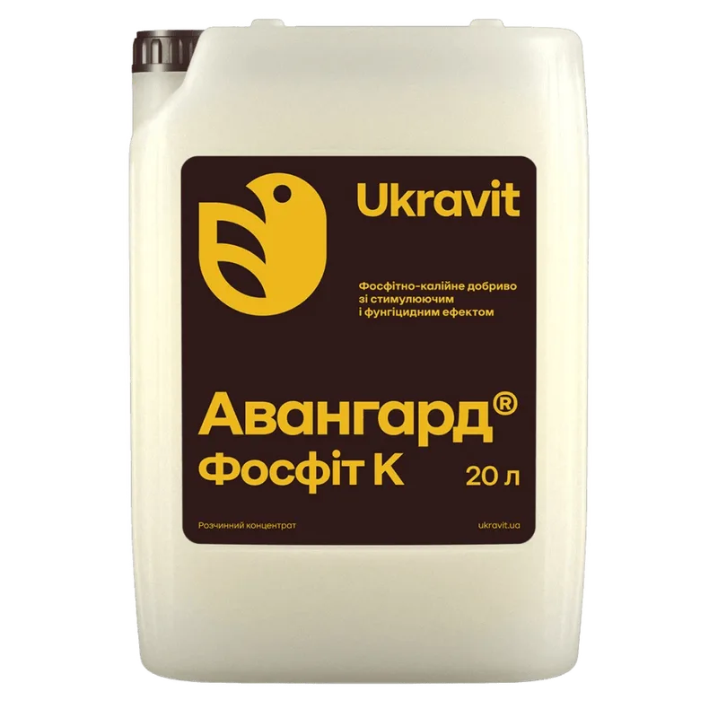 Авангард Фосфіт К