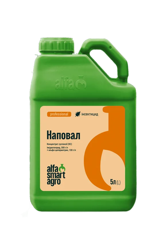 Наповал, КС