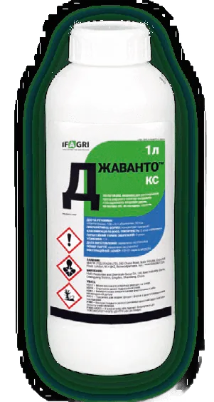Джаванто, КС