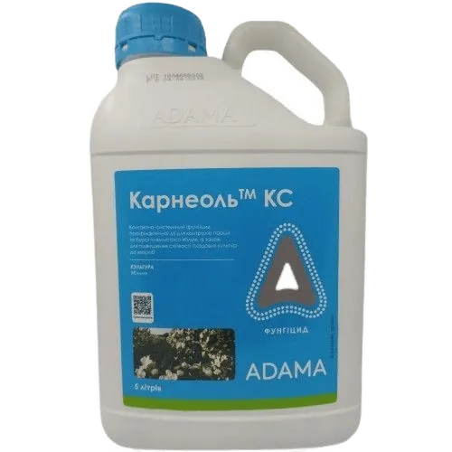 Карнеоль