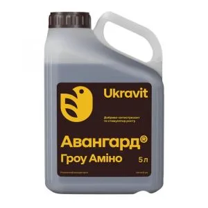 Авангард Гроу Аміно #2