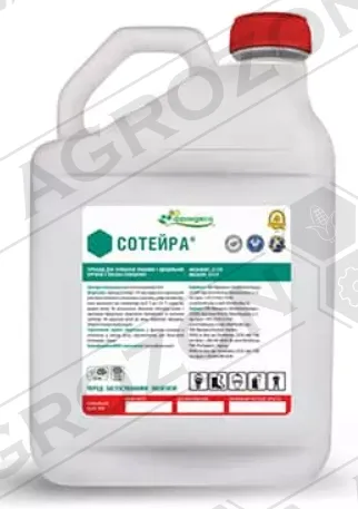 Сотейра, РК