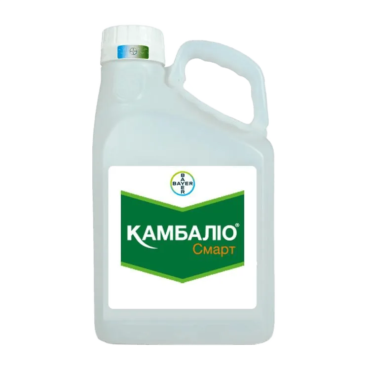 Камбаліо Смарт, КС