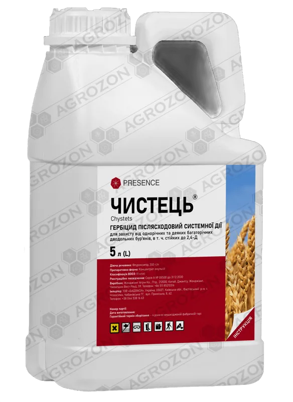 Чистець, КС