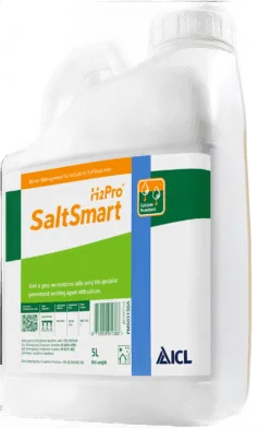 H2Pro SaltSmart (ICL)