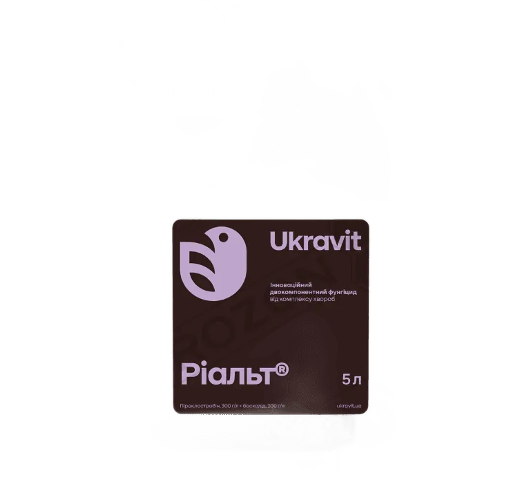 Ріальт, КС