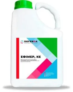 Ефімер