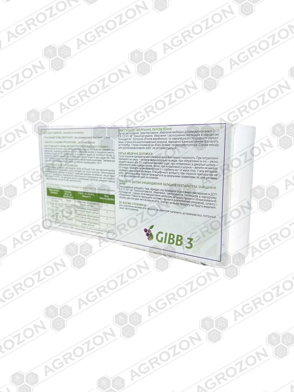 GIBB 3 (Гіб 3)