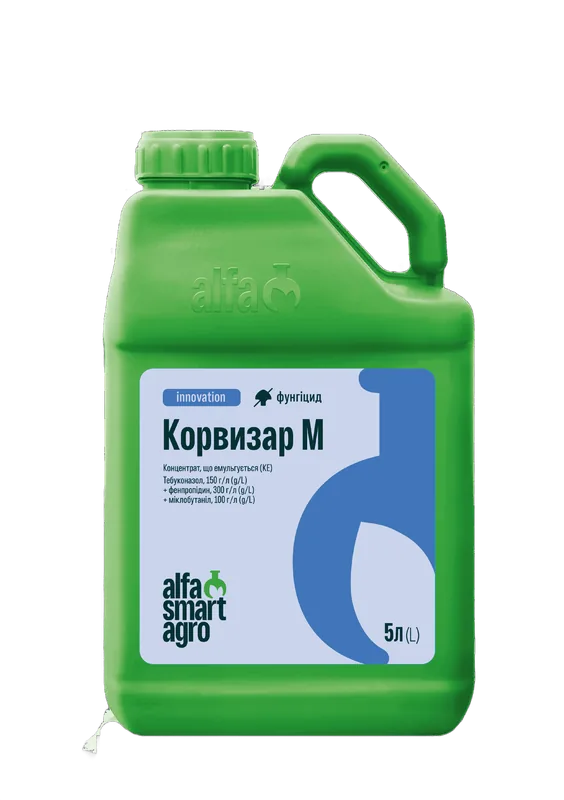 Корвізар М, КЕ