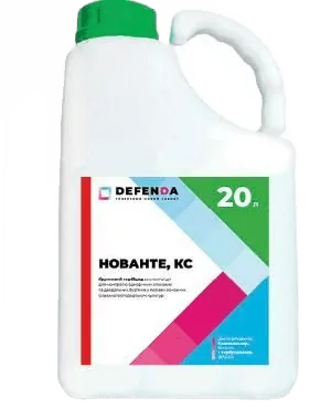 Нованте