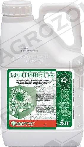 Сентинел, КЕ