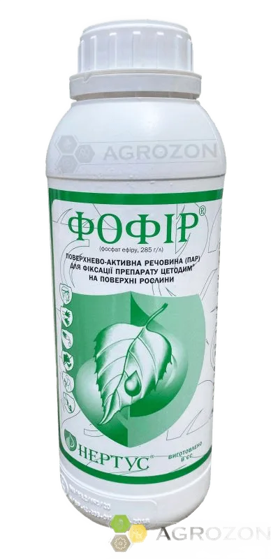 Прилипач Фофір Нертус