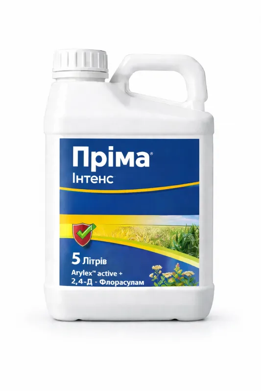 Пріма Інтенс, КЕ