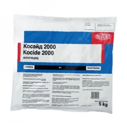 Косайд 2000, ВГ