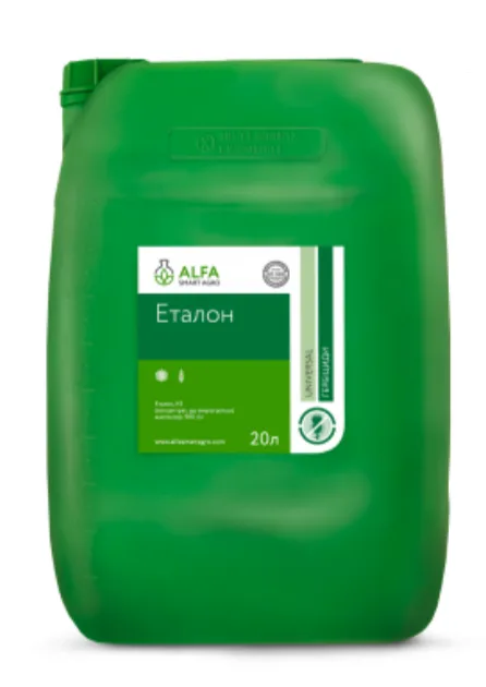 Еталон, КЕ