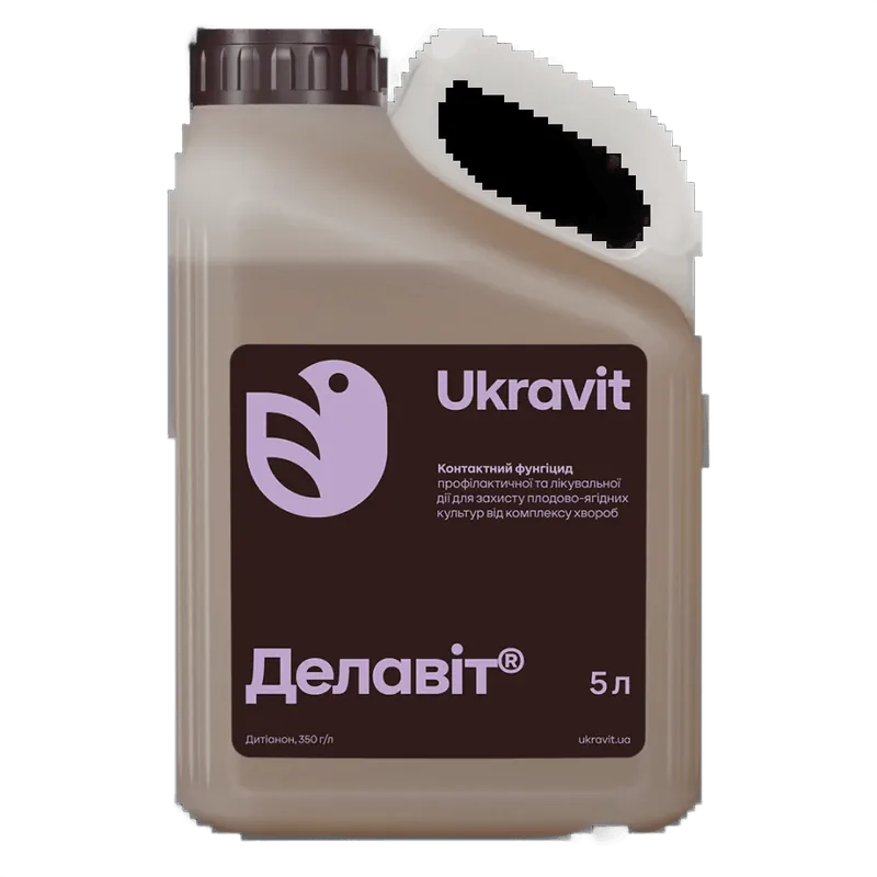Делавіт 5 л