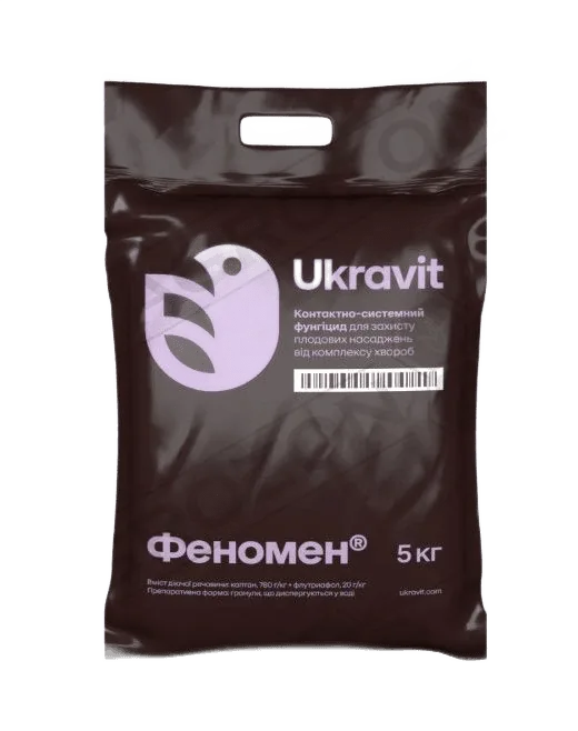 Феномен, ВДГ