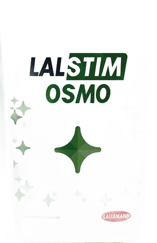 ЛалСтім Осмо