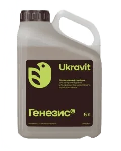 Генезіс