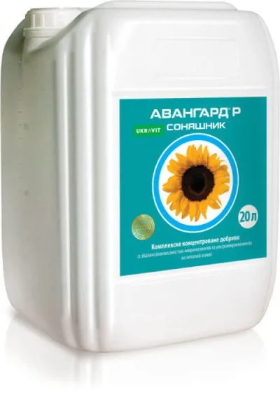 Авангард Соняшник
