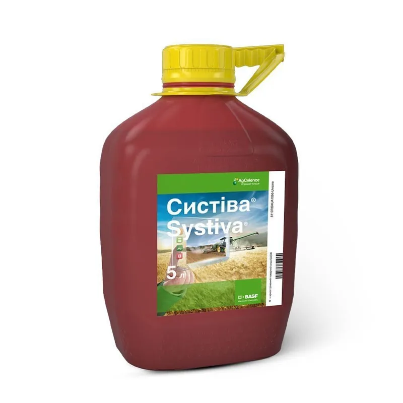 Систіва, ТН