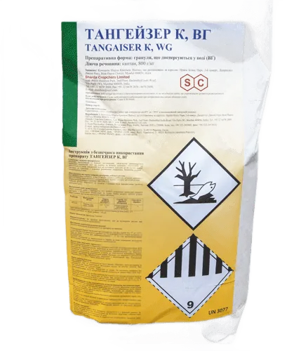 Тангейзер К, ВГ