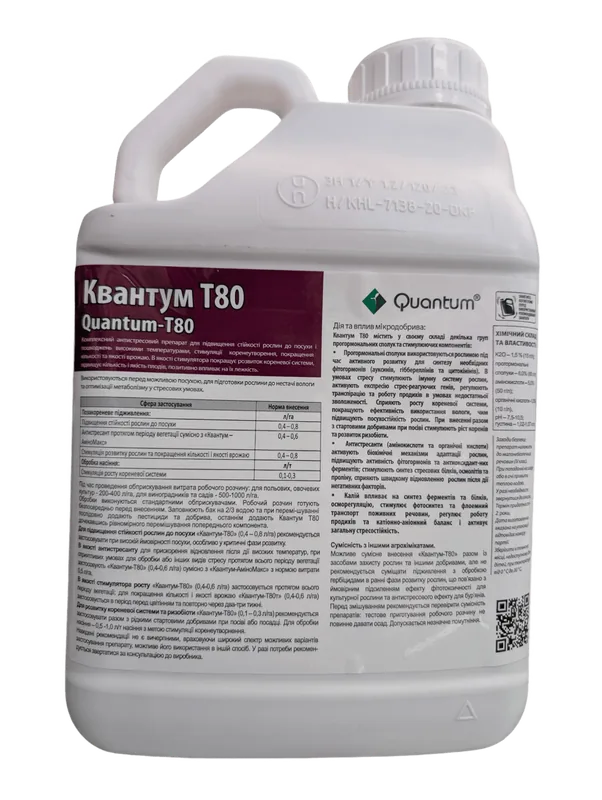 Квантум Т80