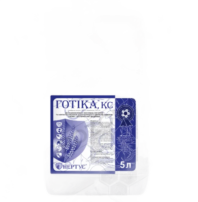 Готика, КС 5 л