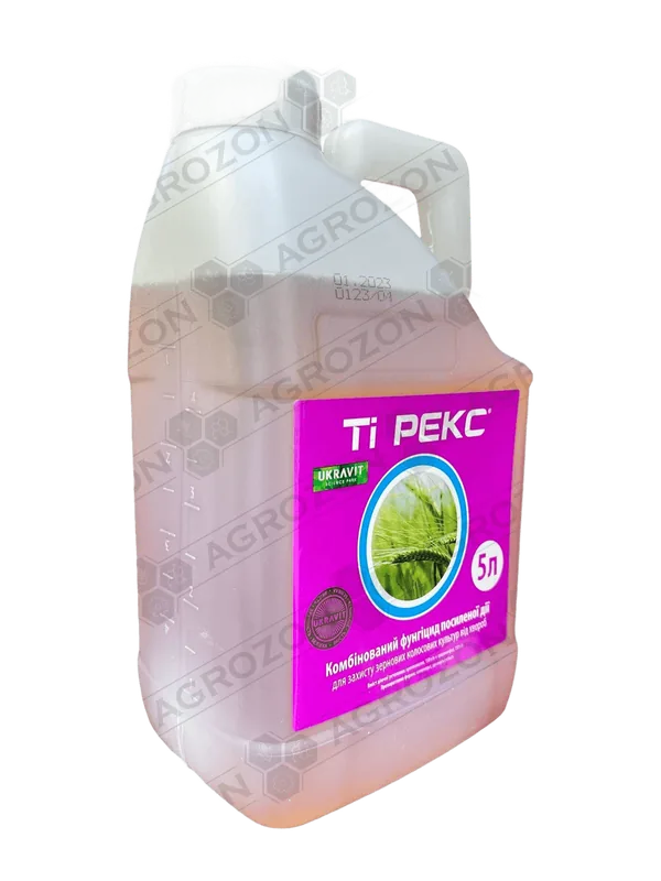 Ті Рекс, КЕ