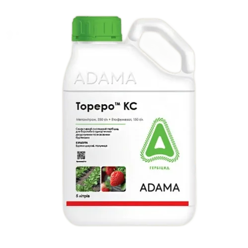 Тореро КС