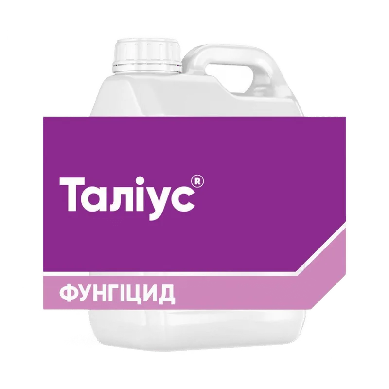 Таліус 20, КЕ
