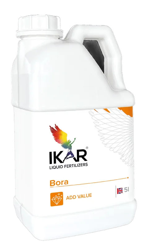 Бор 150 IKAR