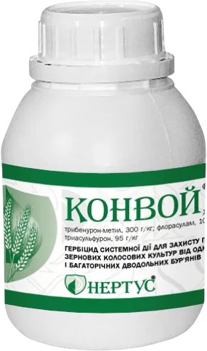 Конвой
